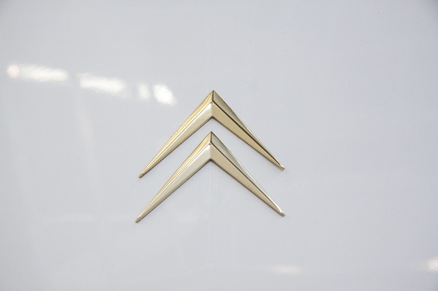 logo samochodu Citroen